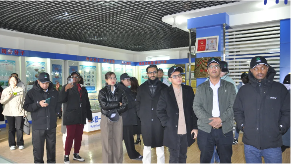 202503181742269969365657.png image.png