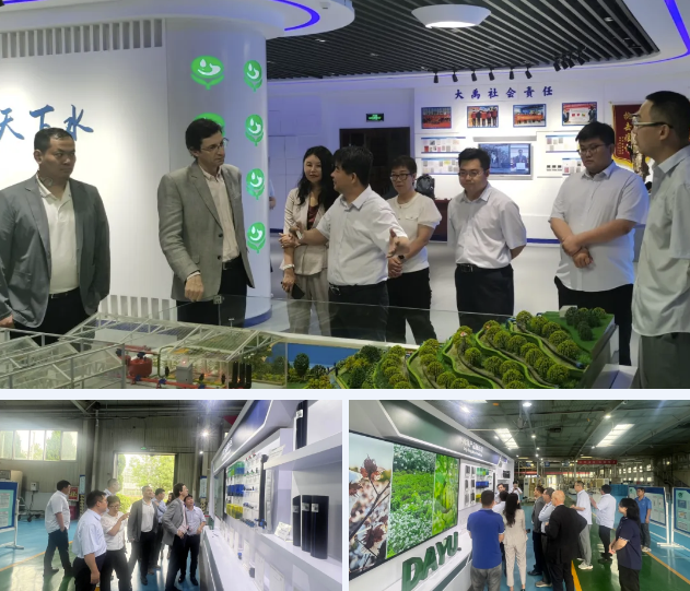 202507161752633579713128.png image.png