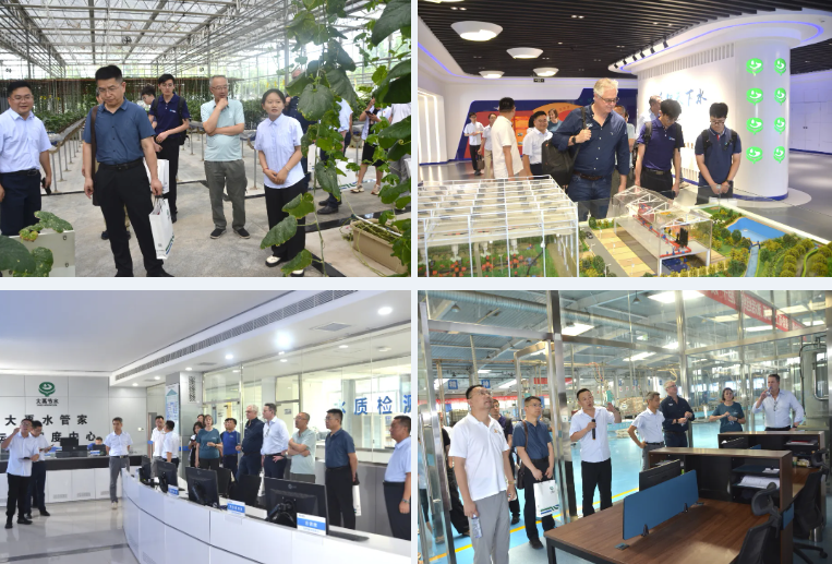 202508121754964129796378.png image.png