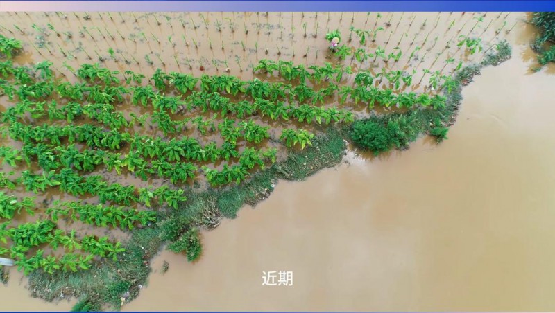 大禹节水：严阵以待，共筑防汛抗旱屏障