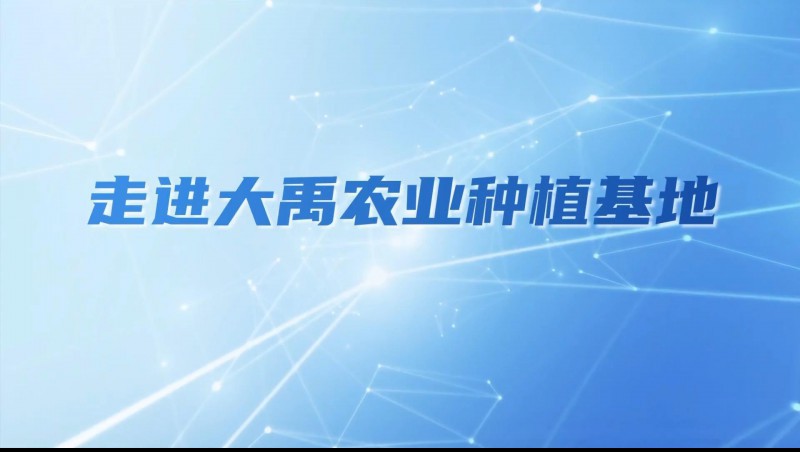 大禹农业| 多元化种植基地矩阵，探索农业现代化新路径